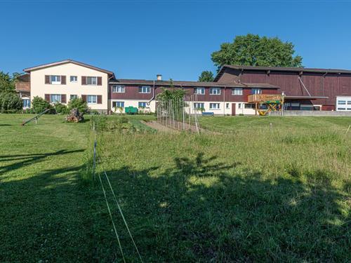 Ferienhaus - 6 Personen -  - Feierlenhof - 8595 - Altnau