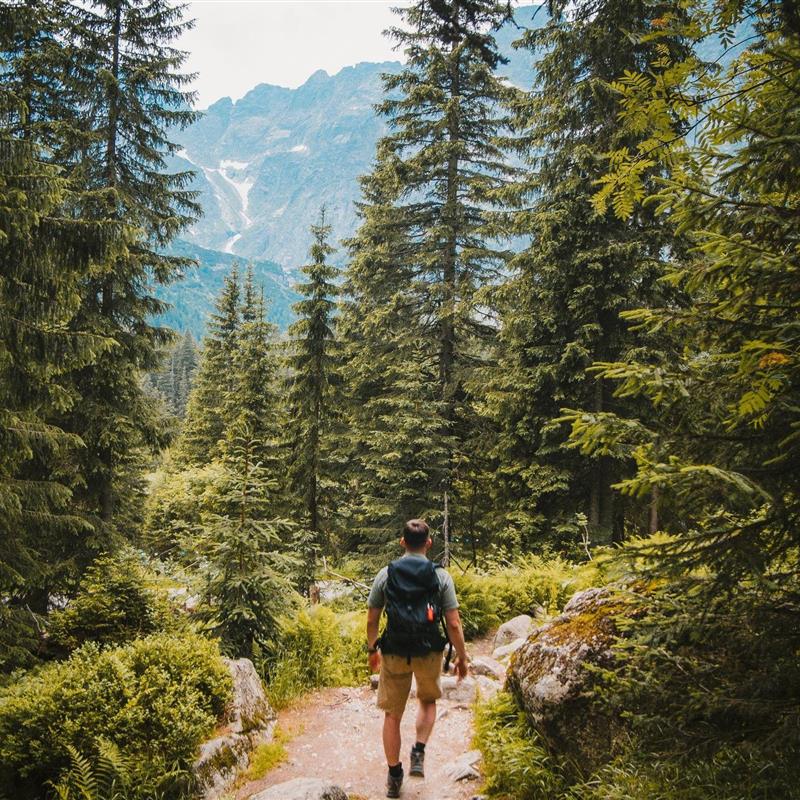 Ferielejlighed - 8 personer -  - Am Büchlberg - 94575 - Windorf