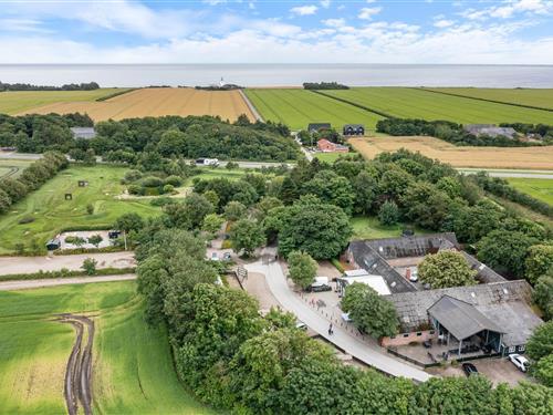 Sommerhus - 14 personer -  - Søtangevej 1 Nr. - Holmsland - 6950 - Ringkøbing