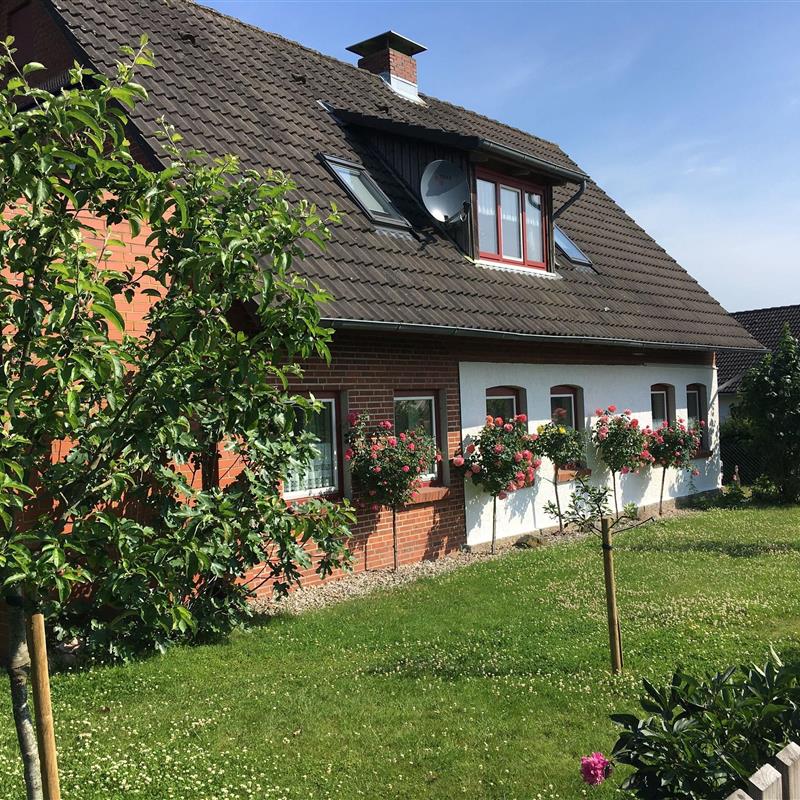 Ferielejlighed - 4 personer -  - Knopperweg - 24897 - Ulsnis