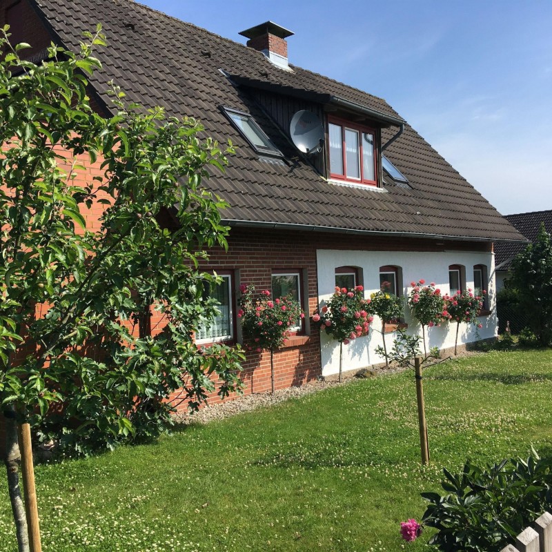 Ferielejlighed - 4 personer -  - Knopperweg - 24897 - Ulsnis