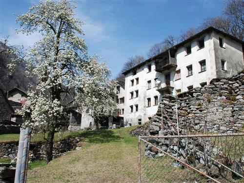 Holiday home - 6 persons -  - Prato Sornico - 6694