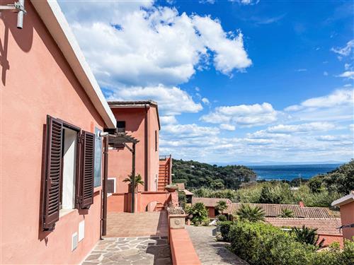 Ferienwohnung - 3 Personen -  - Capoliveri - 57031