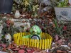 Bild 17 - Aussen