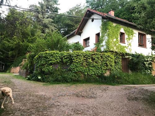 Ferielejlighed - 2 personer -  - Unter Held - 66663 - Merzig