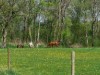 Bilde 6