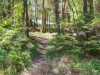 Billede 26 - Grund