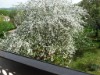 Image 29 - Outside