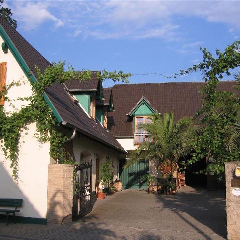 Ferielejlighed - 4 personer -  - Georg-Amend-Str. - 67167 - Erpolzheim