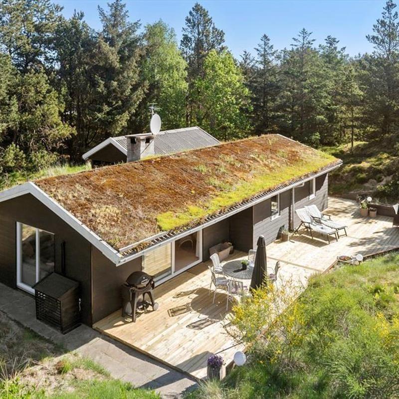 Ferienhaus - 6 Personen -  - Bregnehøjvej - 9492 - Blokhus