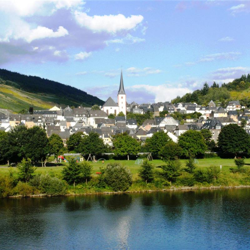 Sommerhus - 20 personer -  - Moselstraße - 54536 - Kröv / Kövenig