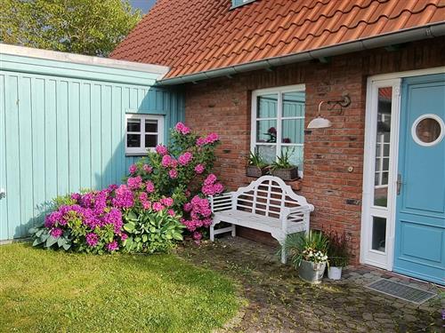 Holiday Home/Apartment - 5 persons -  - Seestrasse - 18211 - Börgerende-Rethwisch / Bö