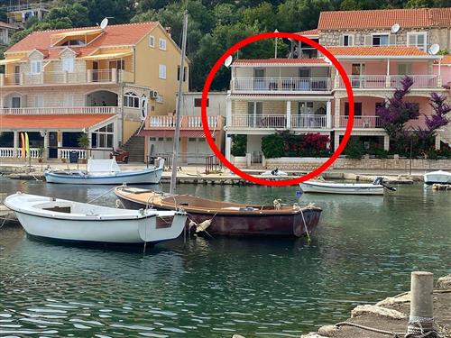 Holiday apartment - 4 persons -  - Gršcica Vela - 20271 - Blato