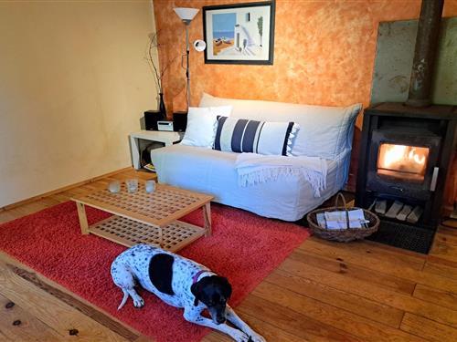 Ferielejlighed - 4 personer -  - 57850 - Dabo