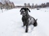 Bild 20 - Inde