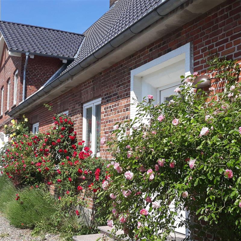 Ferielejlighed - 2 personer -  - Stoltebüll - 24409