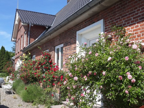Ferienwohnung - 2 Personen -  - 24409 - Stoltebüll