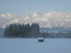 Bild 19
