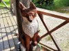 Bild 18