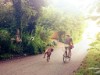 Bild 21 - Inde