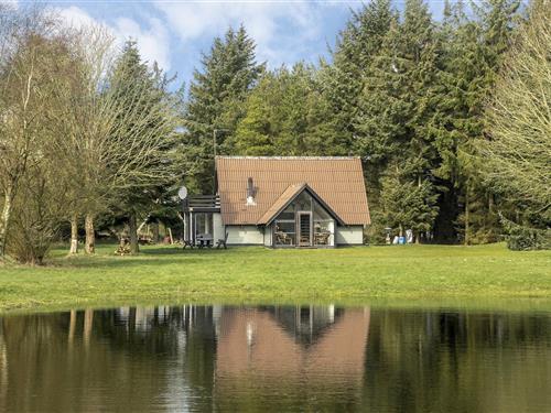 Sommerhus - 6 personer -  - Stauningvej 41 B - Stauning - 6900 - Skjern