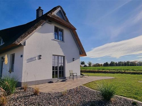 Sommerhus - 5 personer -  - De Poeler Drift - 23968 - Zierow