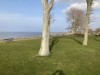 Billede 16 - Område
