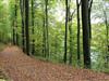 Bild 36