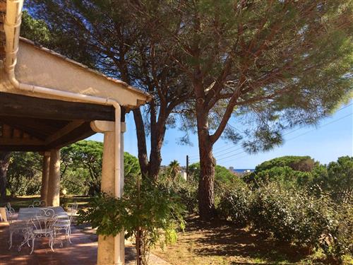 Holiday home - 8 persons -  - Sainte Maxime - 83120