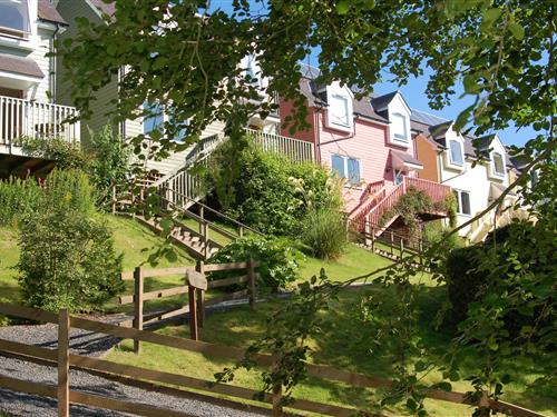 Cottage - 4 persons -  - TD86BY - Jedburgh