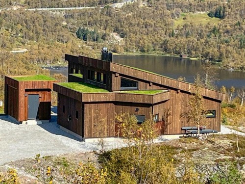 Holiday home - 8 persons -  - Øvre Arbuneset - Haukelifjell - 3895 - Edland