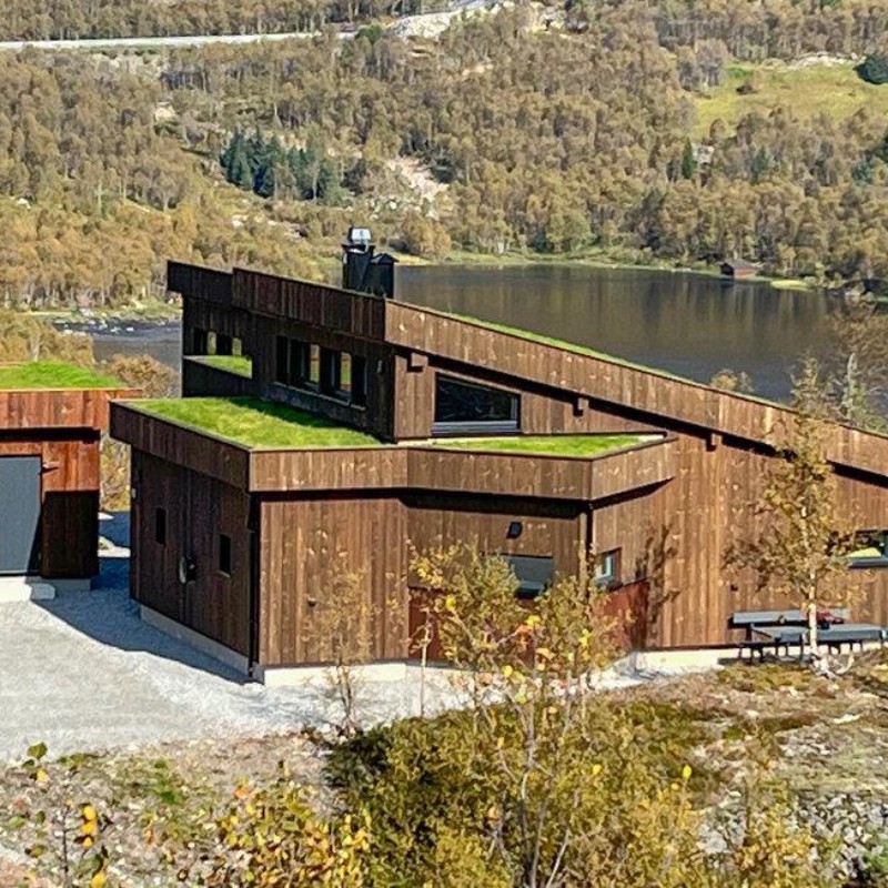 Sommerhus - 8 personer -  - Øvre Arbuneset - Haukelifjell - 3895 - Edland