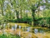 Image 14