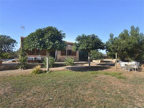 Ferielejlighed - 3 personer -  - Santanyí - 07690