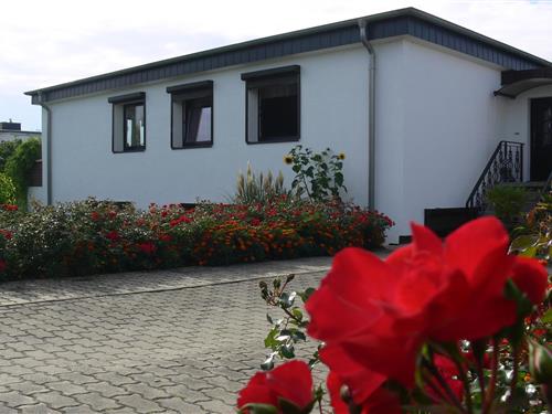 Ferielejlighed - 3 personer -  - 18230 - Ostseebad Rerik