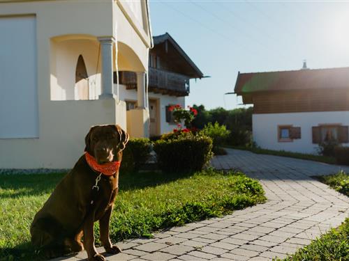 Sommerhus - 4 personer -  - 94137 - Bayerbach