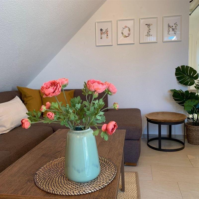 Ferielejlighed - 3 personer -  - Kolkstrasse - 26506 - Norddeich