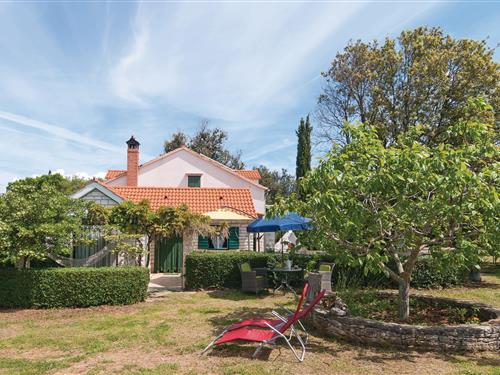 Sommerhus - 4 personer -  - Put Cada - Brac-Pucisca - 21412 - Pucisca