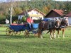 Billede 21
