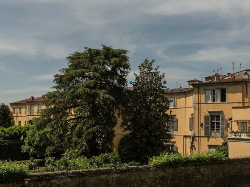 Holiday apartment - 2 persons -  - 55100 - Lucca