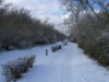 Bild 40