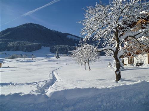 Ferieleilighet - 3 personer -  - Gstatt - 83324 - Ruhpolding