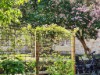 Image 32 - Outside