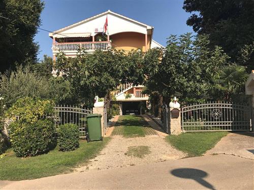 Ferielejlighed - 3 personer -  - Put Pliše 31a, Zaton - 23232 - Nin