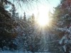 Bild 45 - Ude