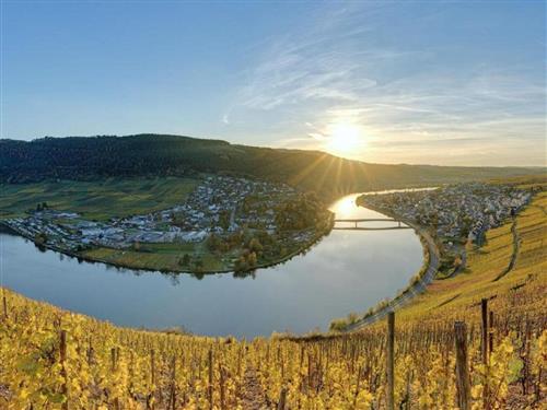 Holiday apartment - 2 persons -  - Moselstraße - 54346 - Mehring