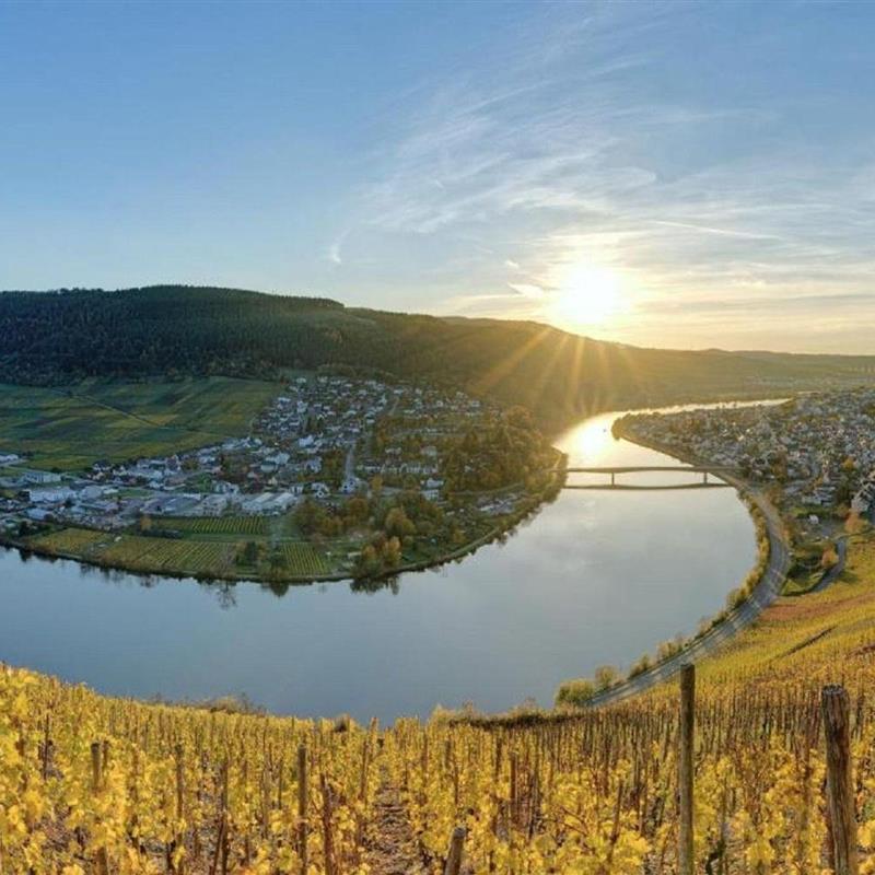 Ferielejlighed - 2 personer -  - Moselstraße - 54346 - Mehring