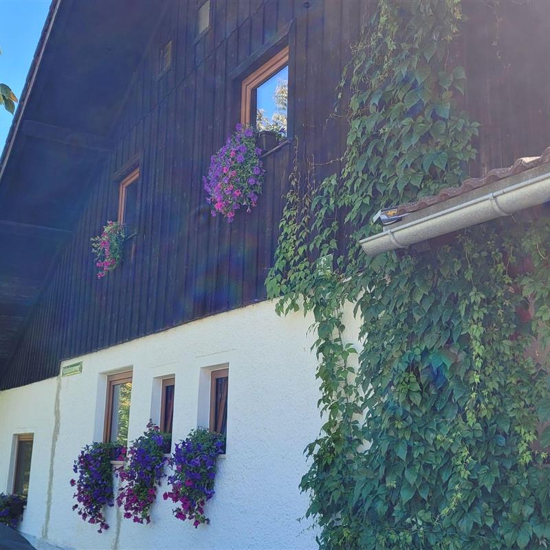 Ferielejlighed - 5 personer -  - Kohlenbrennerweg - 83088 - Kiefersfelden