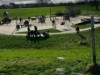 Bilde 5