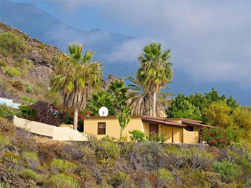 Ferielejlighed - 2 personer -  - Morro los Judios - 38769 - Puerto De Naos